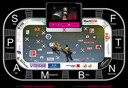 PIXELEIS Web, 2010-2014